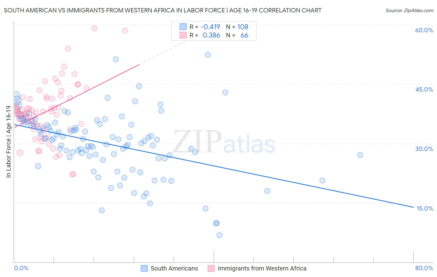 South American vs Immigrants from Western Africa In Labor Force | Age 16-19