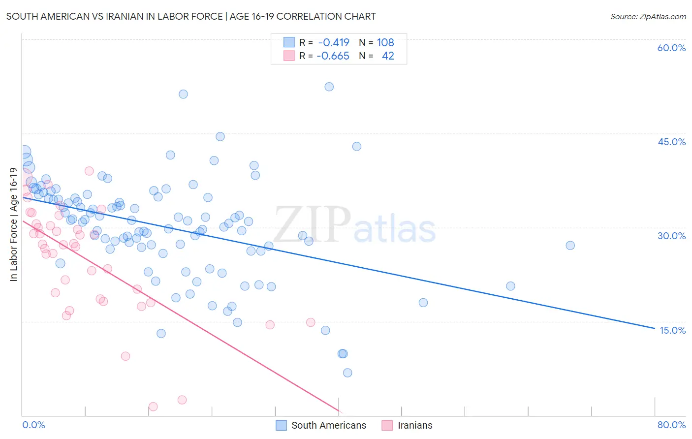 South American vs Iranian In Labor Force | Age 16-19