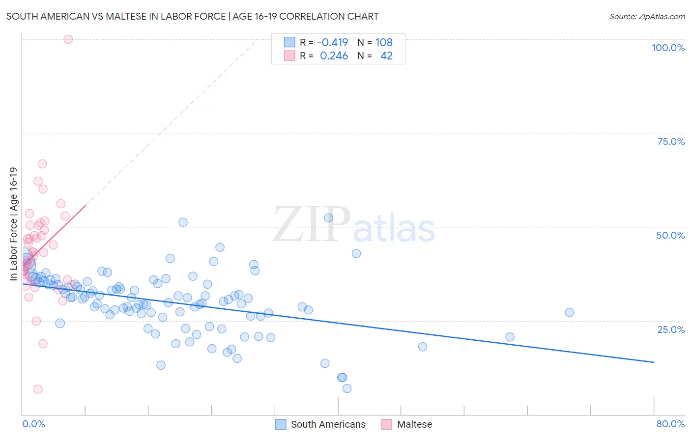 South American vs Maltese In Labor Force | Age 16-19