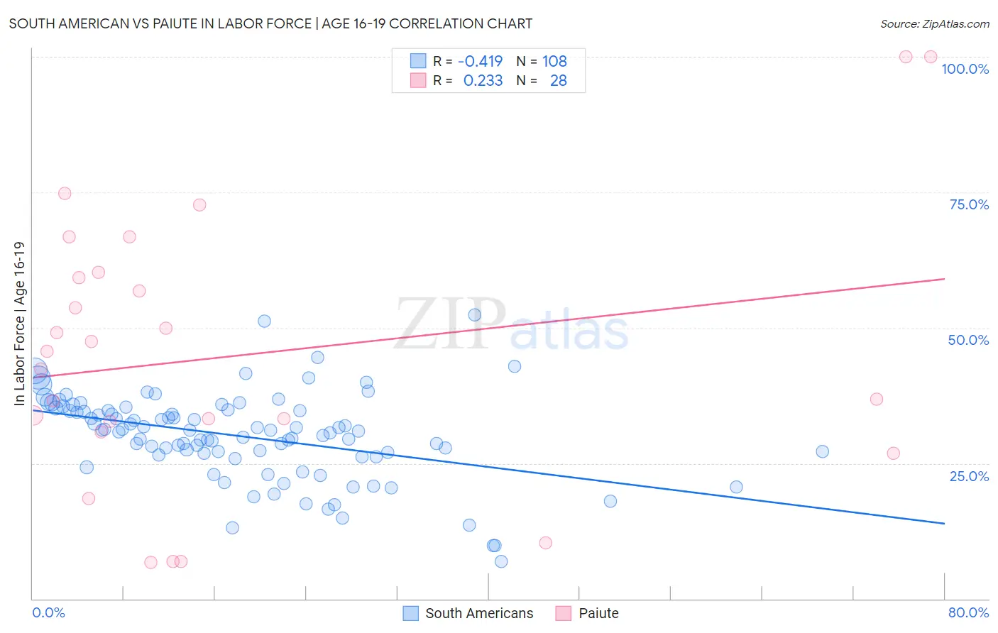 South American vs Paiute In Labor Force | Age 16-19