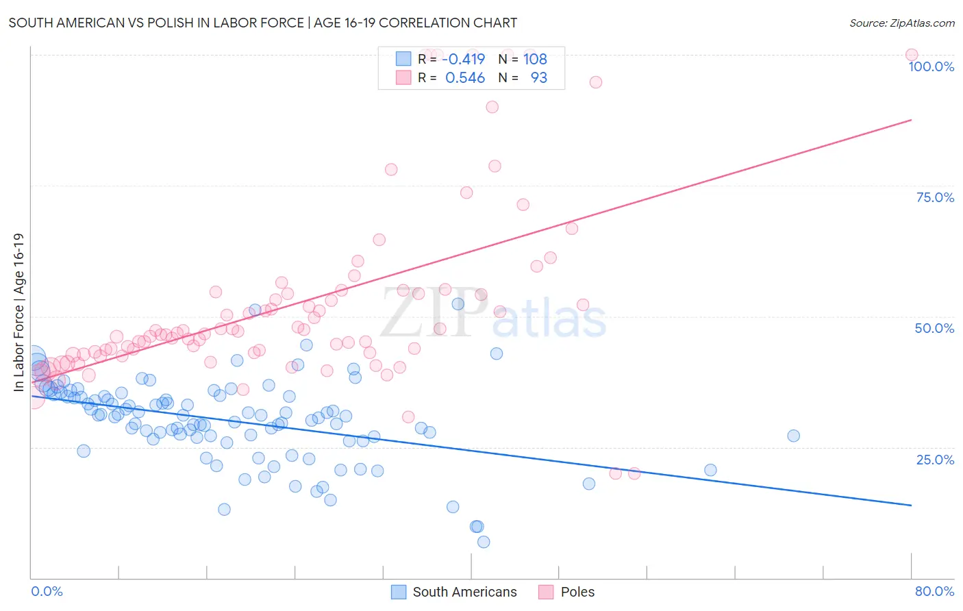 South American vs Polish In Labor Force | Age 16-19