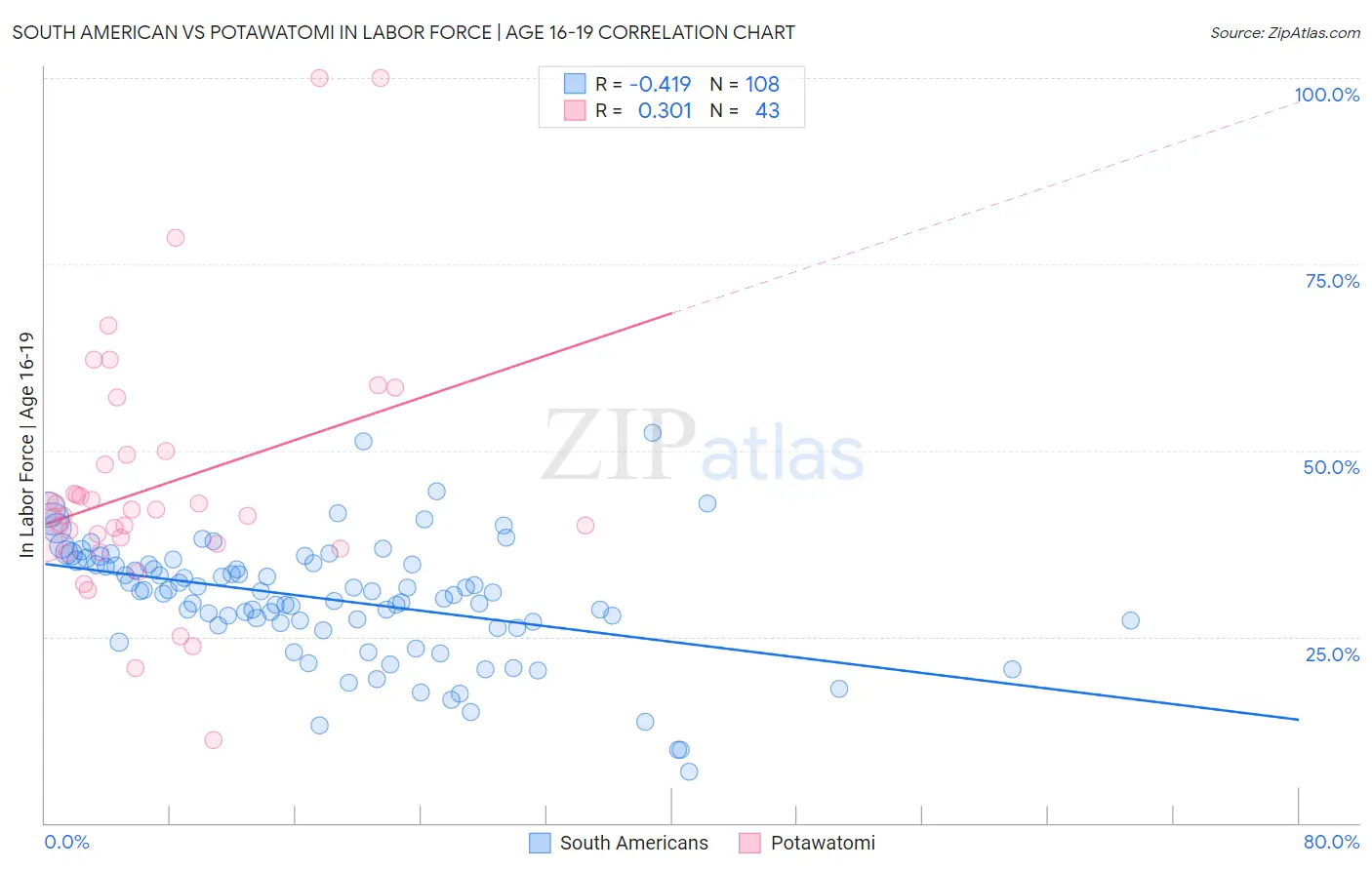 South American vs Potawatomi In Labor Force | Age 16-19