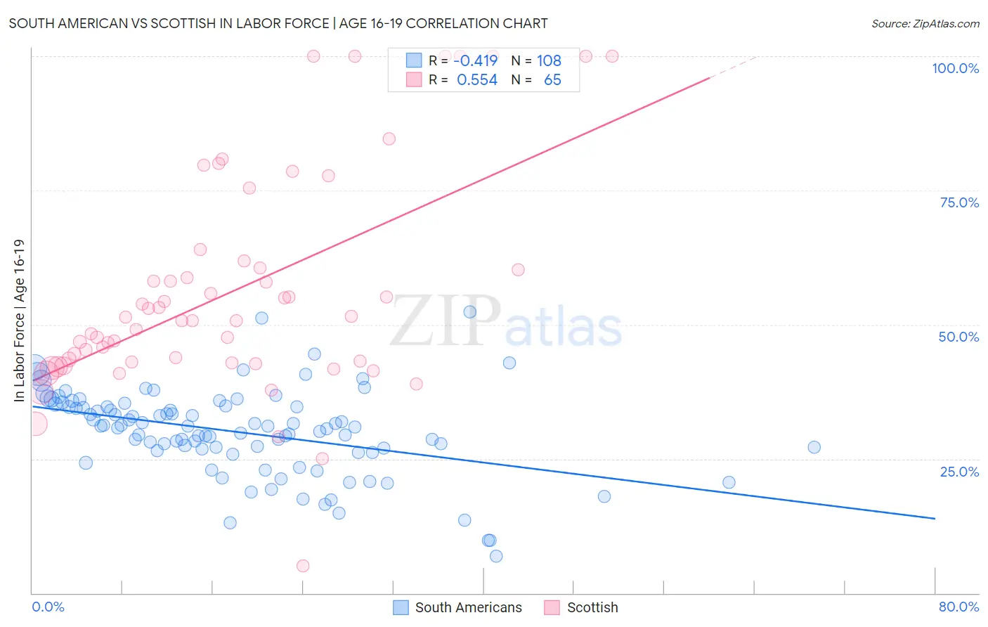 South American vs Scottish In Labor Force | Age 16-19