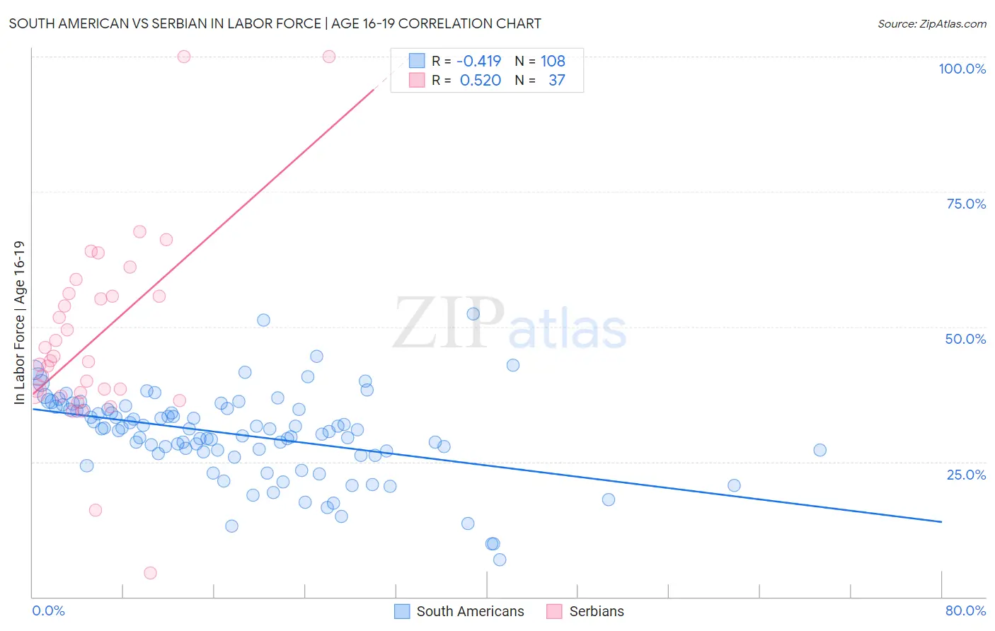 South American vs Serbian In Labor Force | Age 16-19