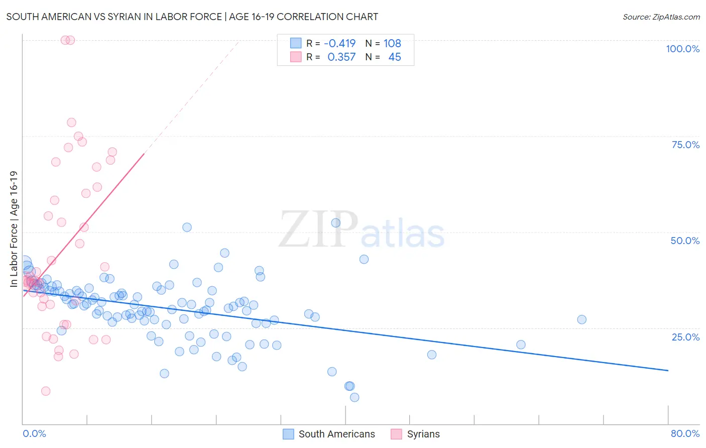 South American vs Syrian In Labor Force | Age 16-19