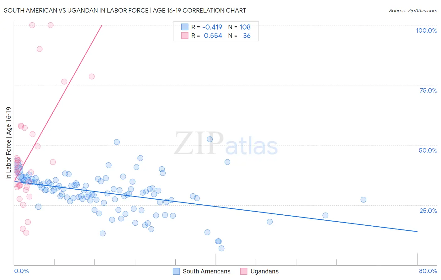 South American vs Ugandan In Labor Force | Age 16-19