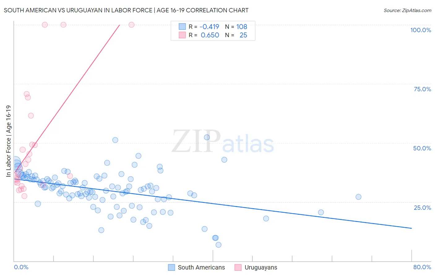 South American vs Uruguayan In Labor Force | Age 16-19