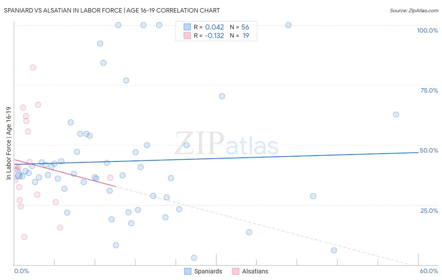 Spaniard vs Alsatian In Labor Force | Age 16-19