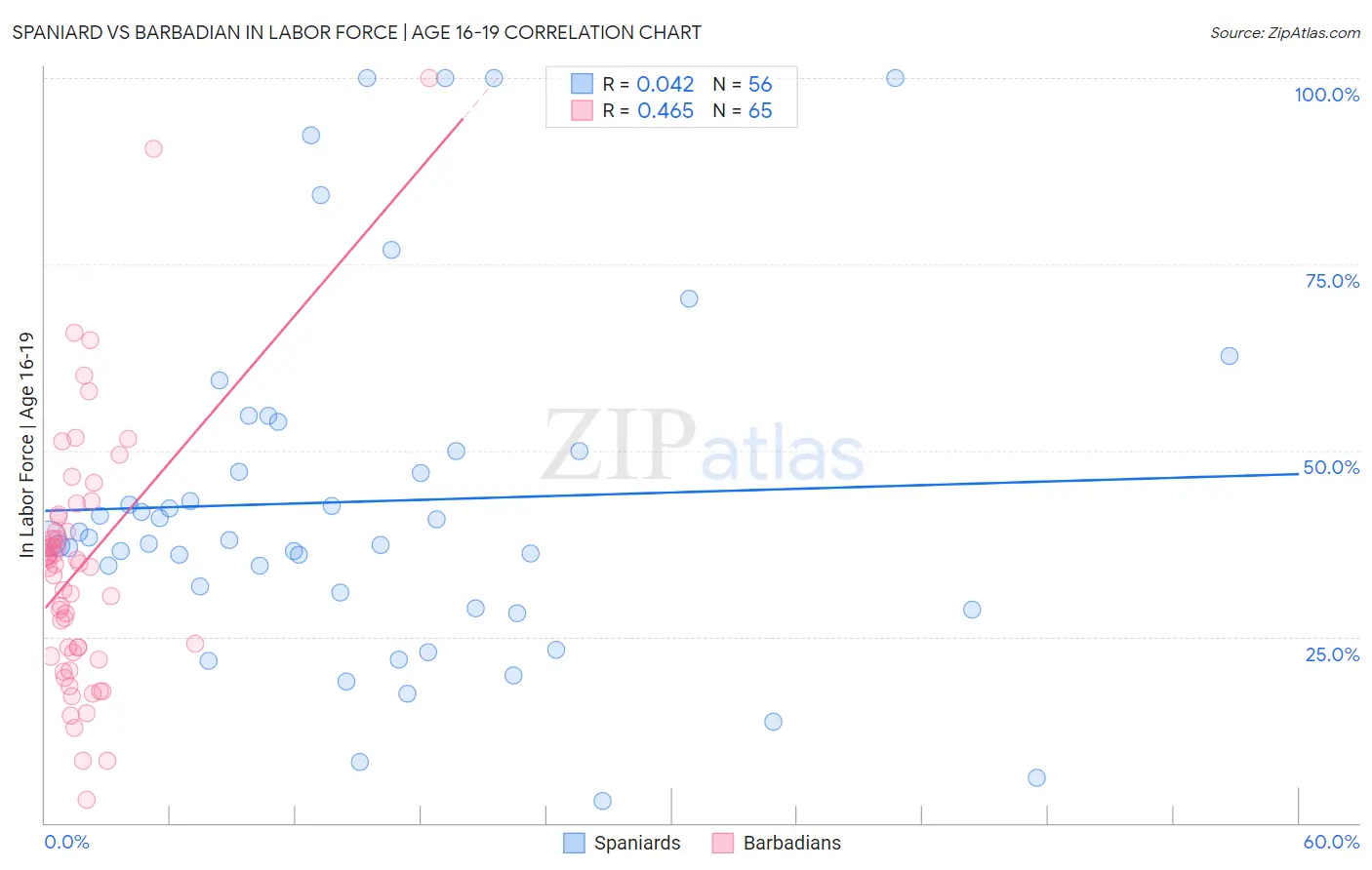 Spaniard vs Barbadian In Labor Force | Age 16-19