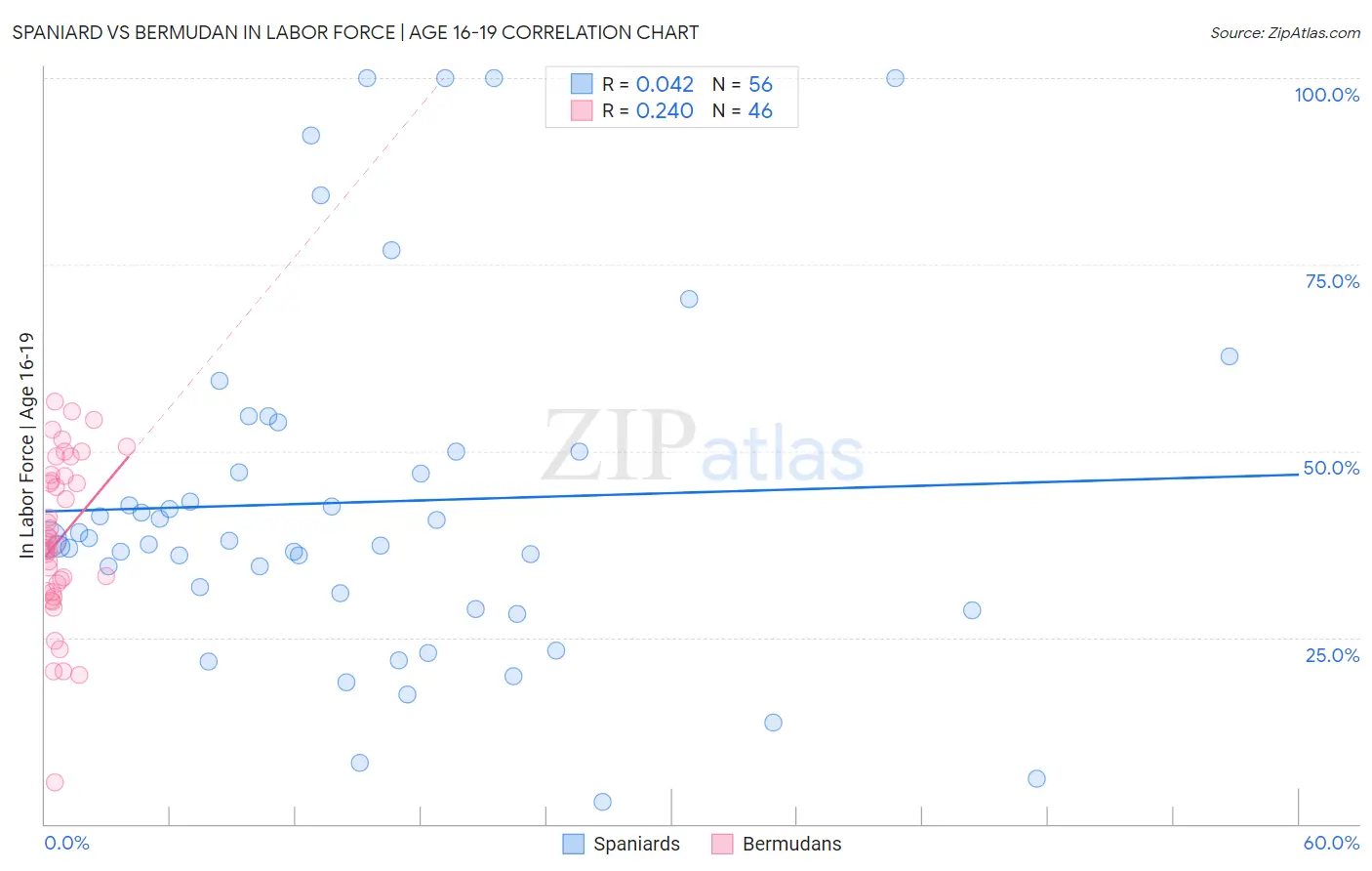 Spaniard vs Bermudan In Labor Force | Age 16-19