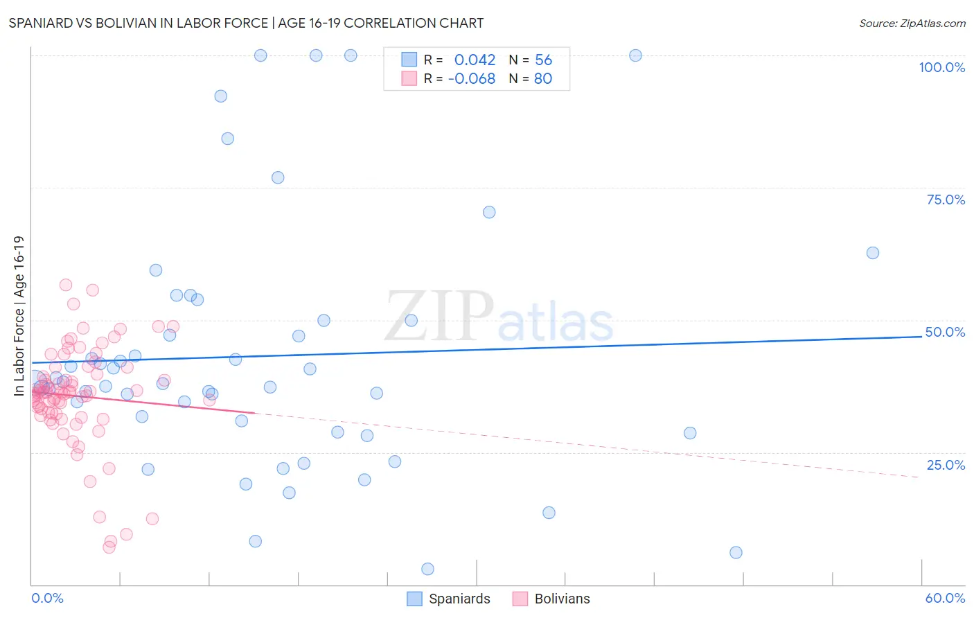 Spaniard vs Bolivian In Labor Force | Age 16-19