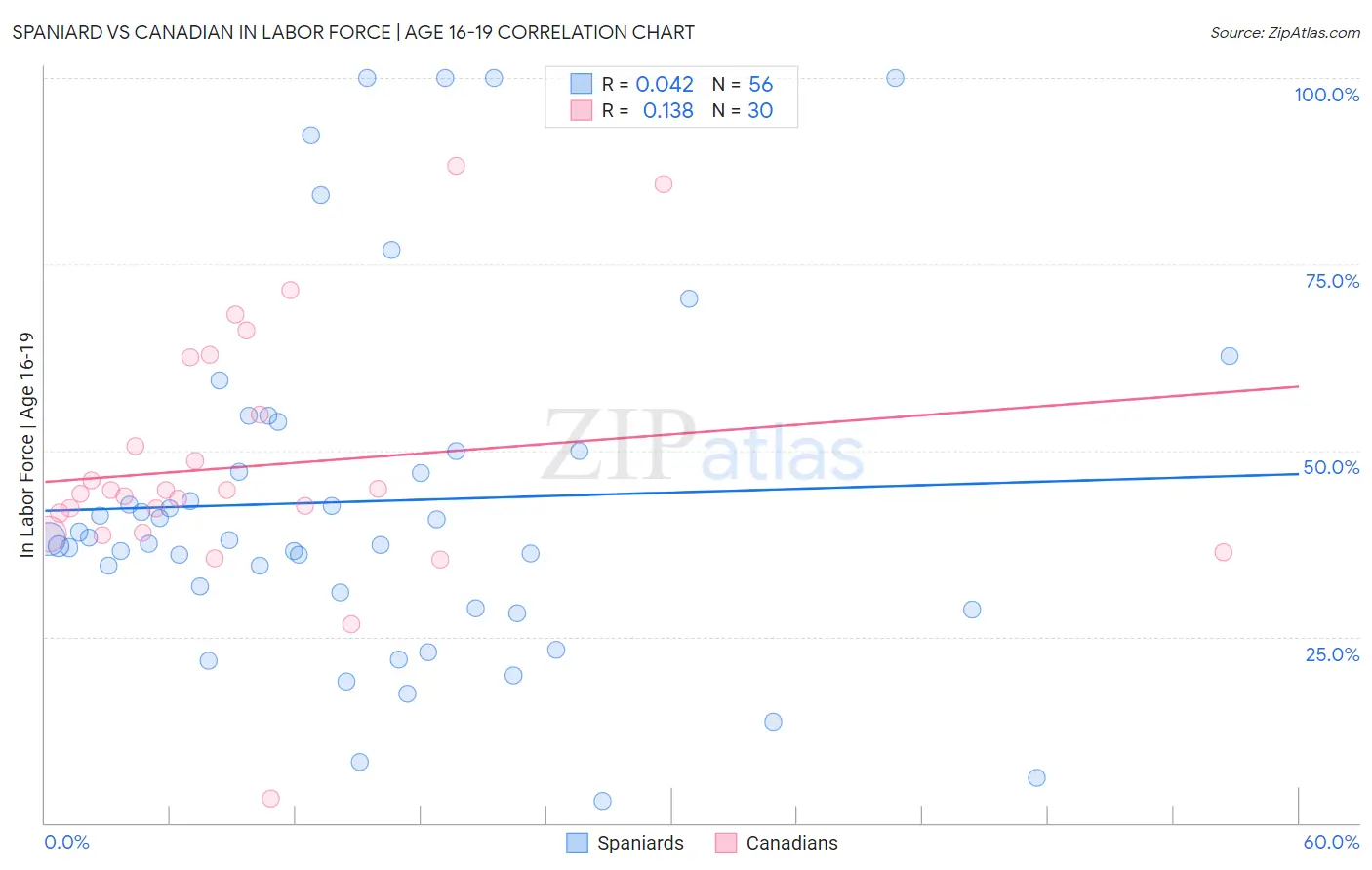 Spaniard vs Canadian In Labor Force | Age 16-19