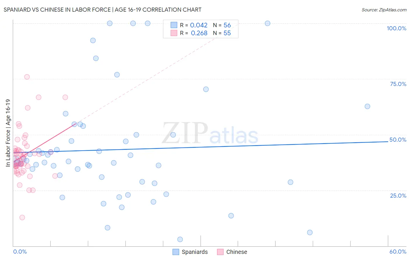 Spaniard vs Chinese In Labor Force | Age 16-19