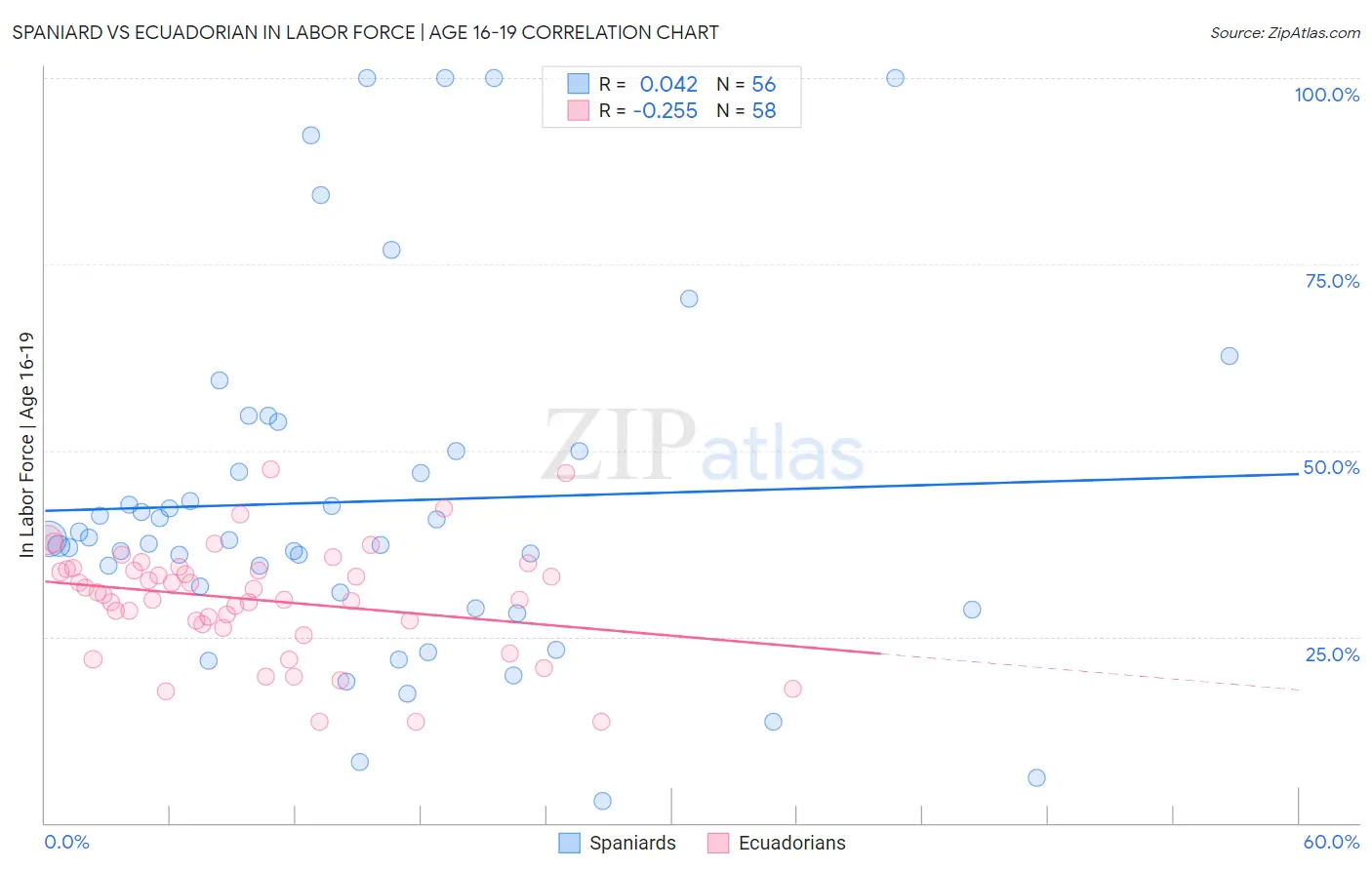 Spaniard vs Ecuadorian In Labor Force | Age 16-19