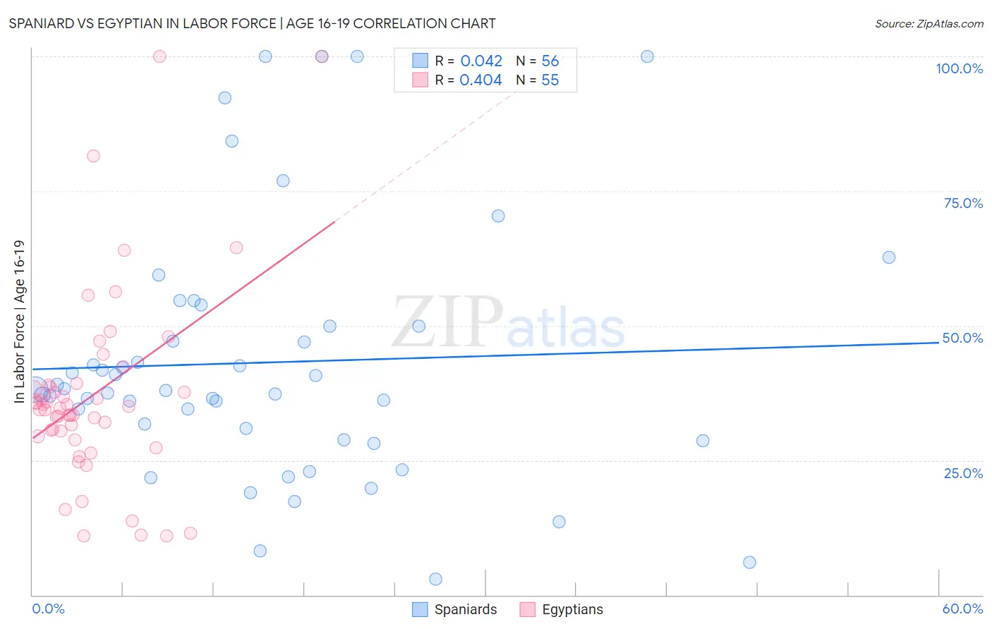 Spaniard vs Egyptian In Labor Force | Age 16-19