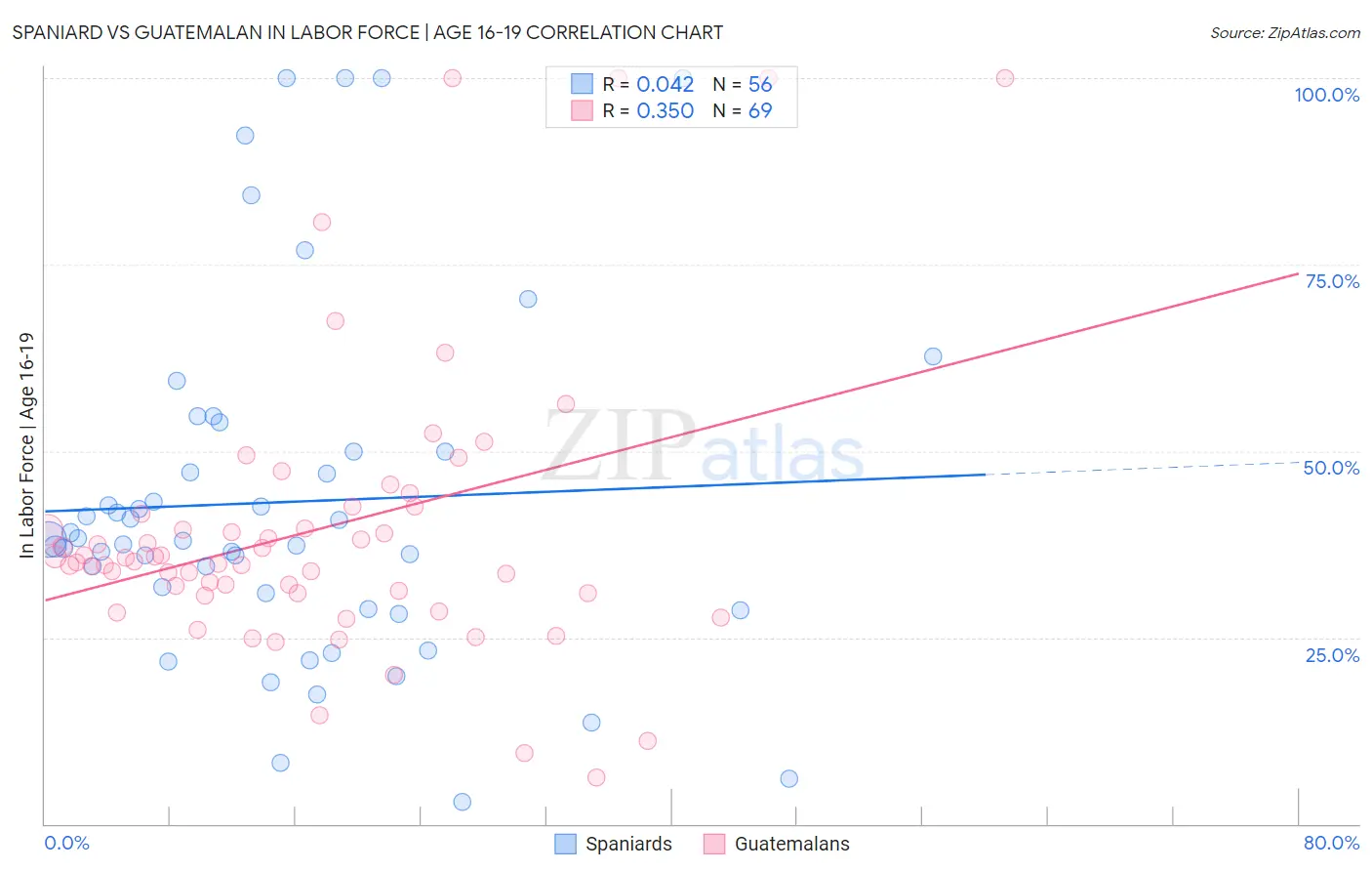 Spaniard vs Guatemalan In Labor Force | Age 16-19