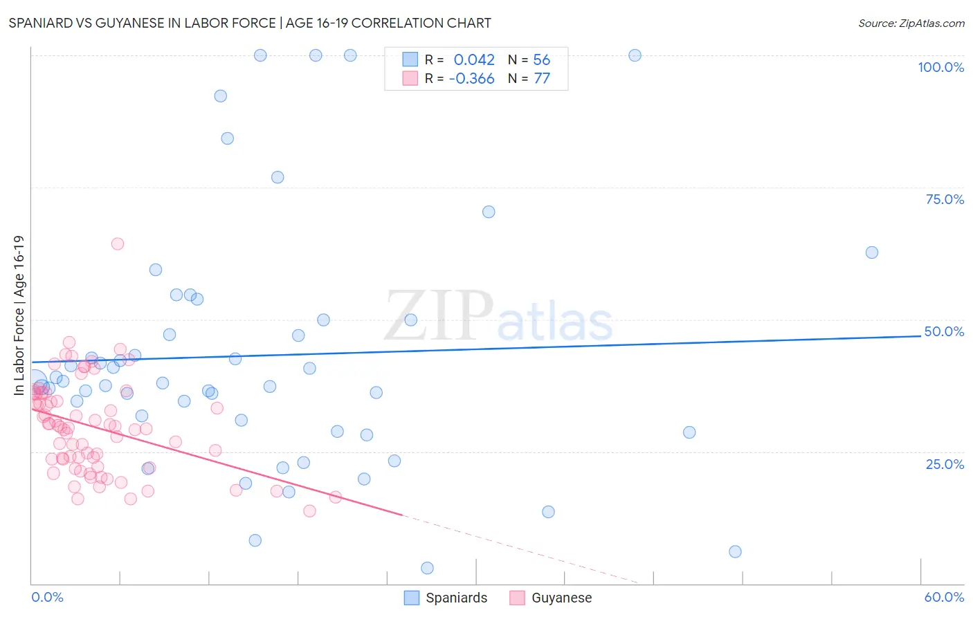 Spaniard vs Guyanese In Labor Force | Age 16-19