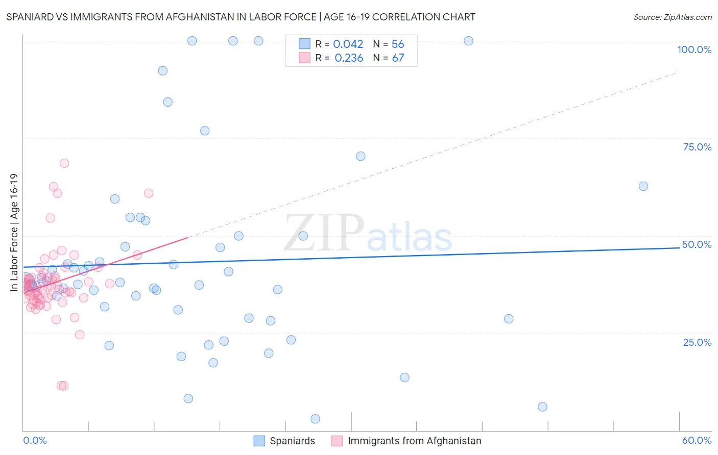 Spaniard vs Immigrants from Afghanistan In Labor Force | Age 16-19