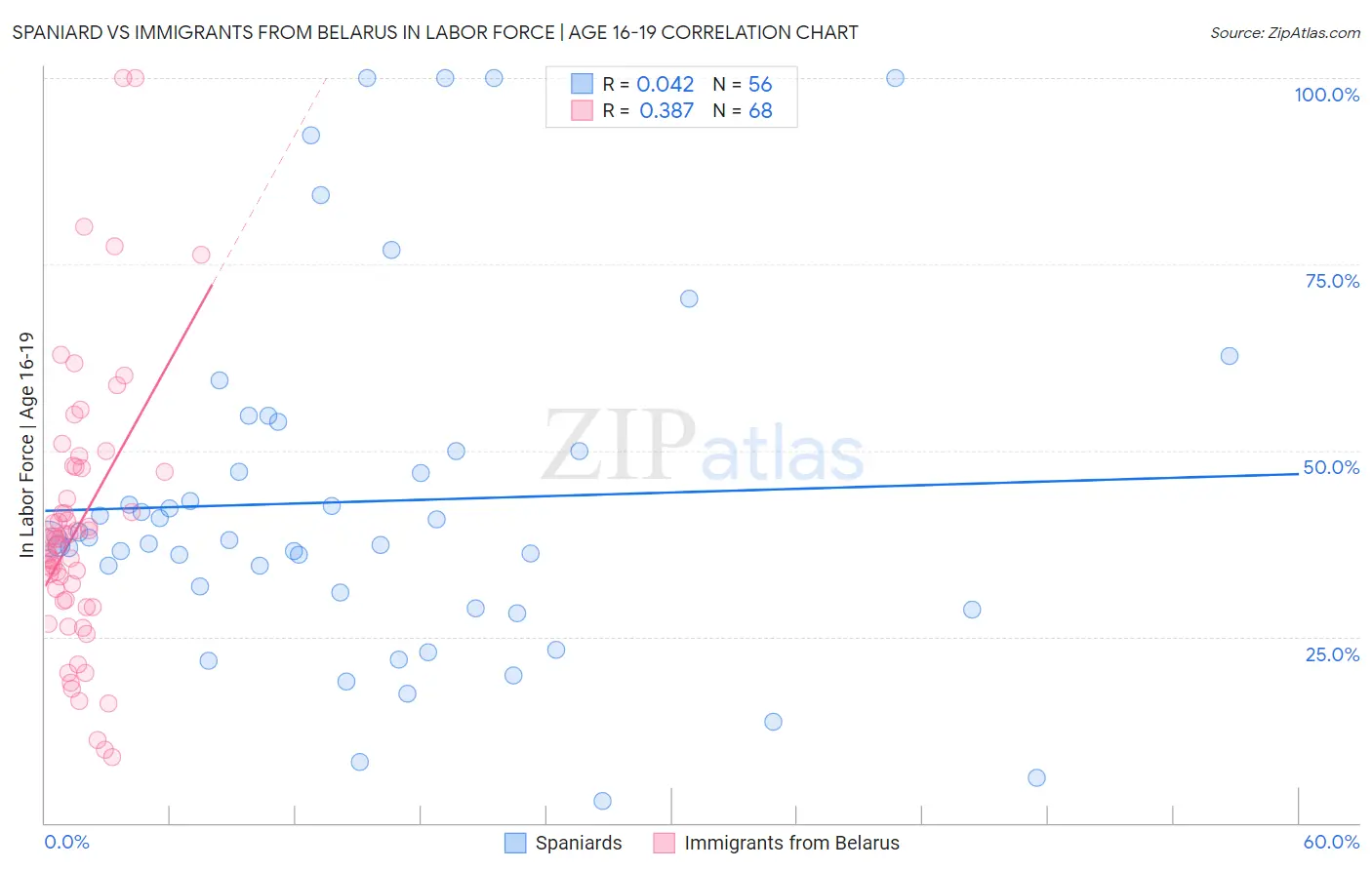 Spaniard vs Immigrants from Belarus In Labor Force | Age 16-19