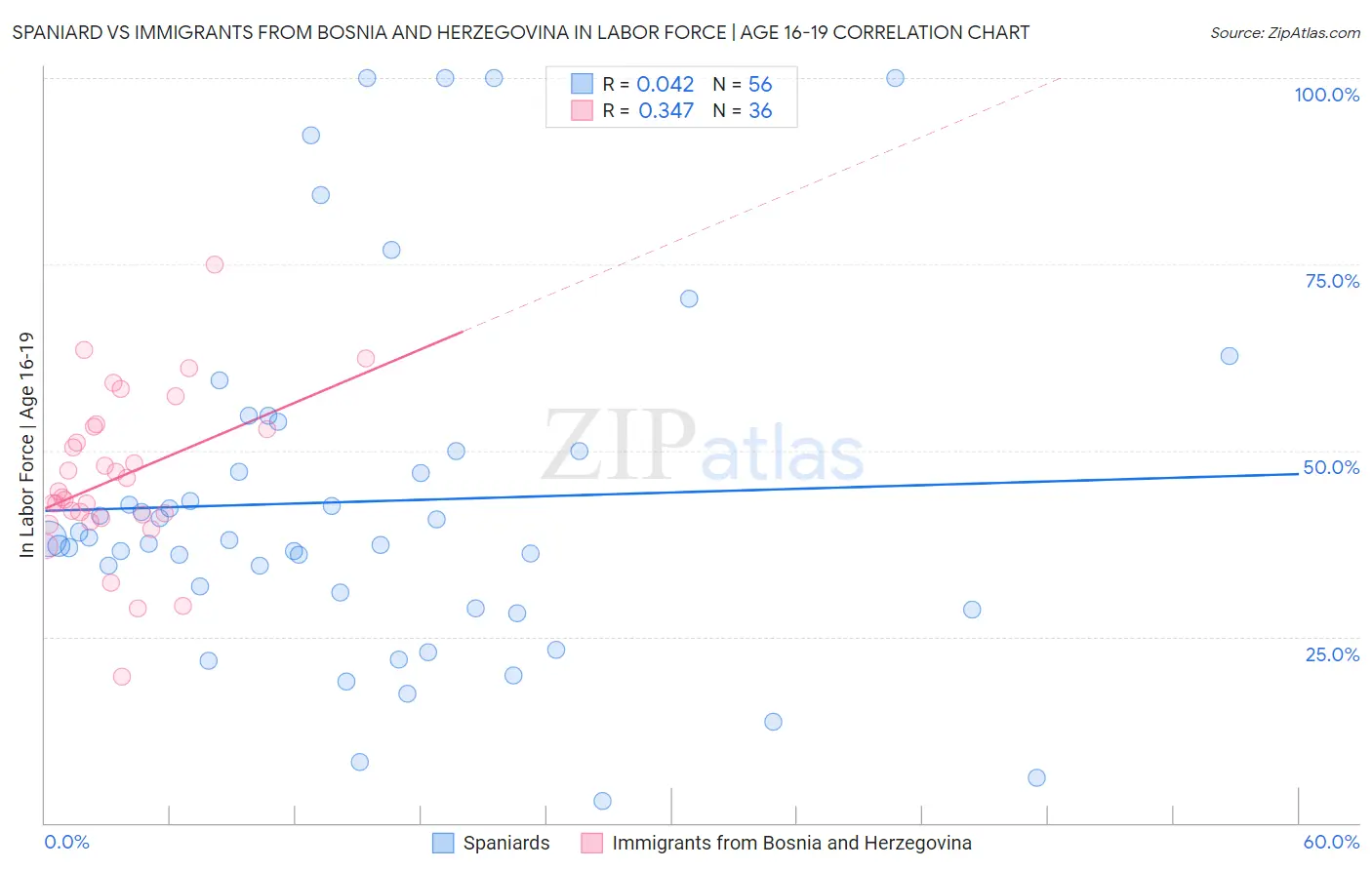 Spaniard vs Immigrants from Bosnia and Herzegovina In Labor Force | Age 16-19