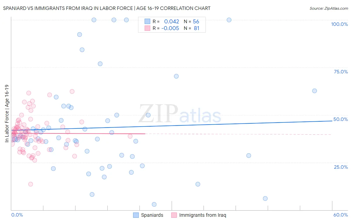 Spaniard vs Immigrants from Iraq In Labor Force | Age 16-19