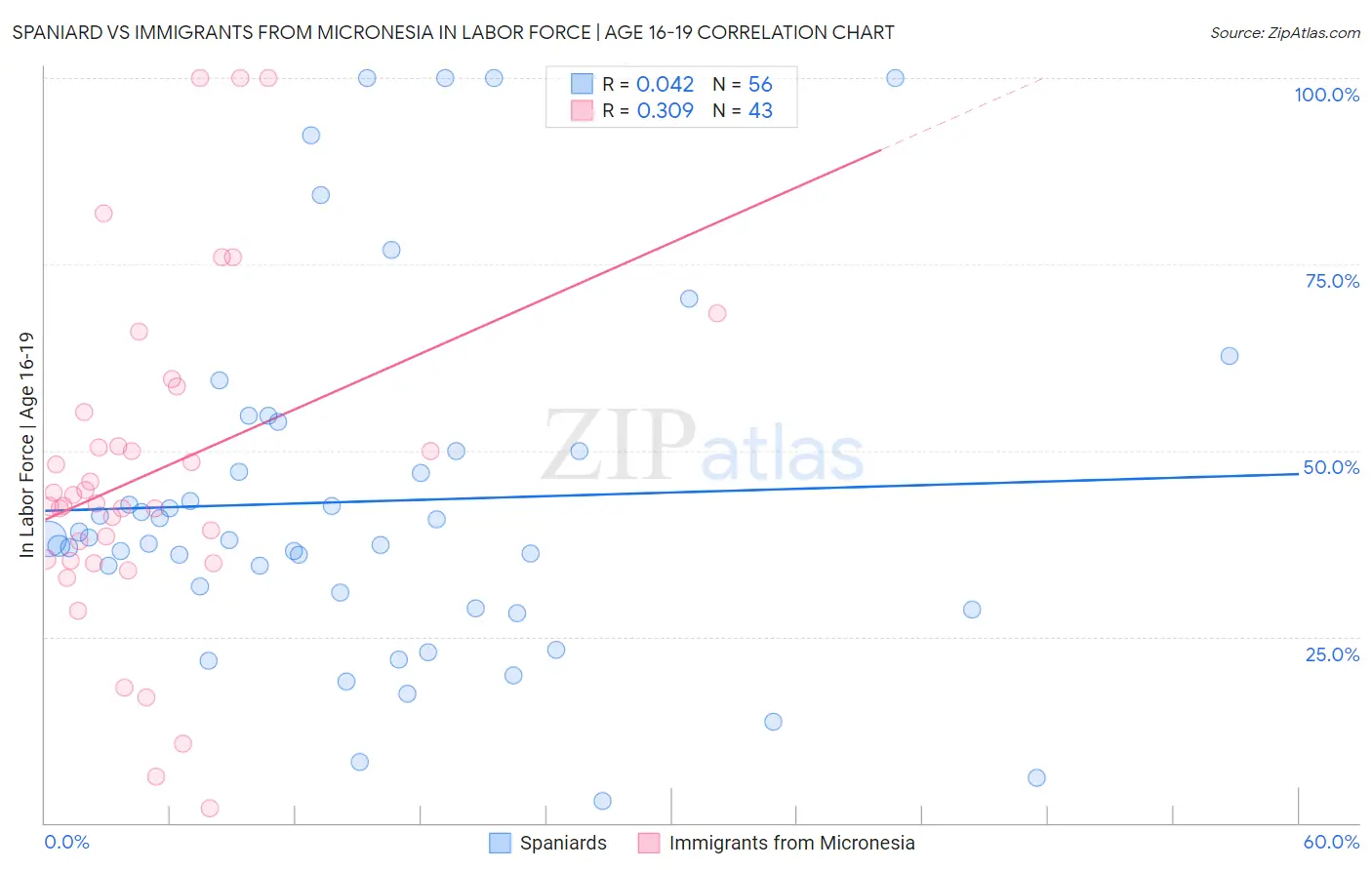 Spaniard vs Immigrants from Micronesia In Labor Force | Age 16-19