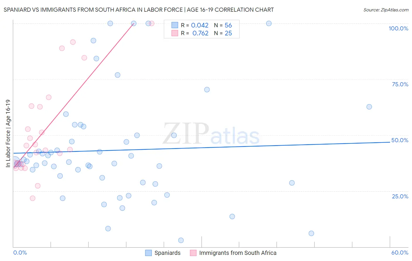 Spaniard vs Immigrants from South Africa In Labor Force | Age 16-19