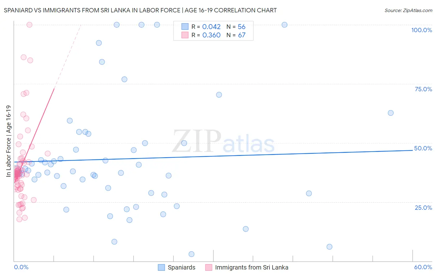 Spaniard vs Immigrants from Sri Lanka In Labor Force | Age 16-19