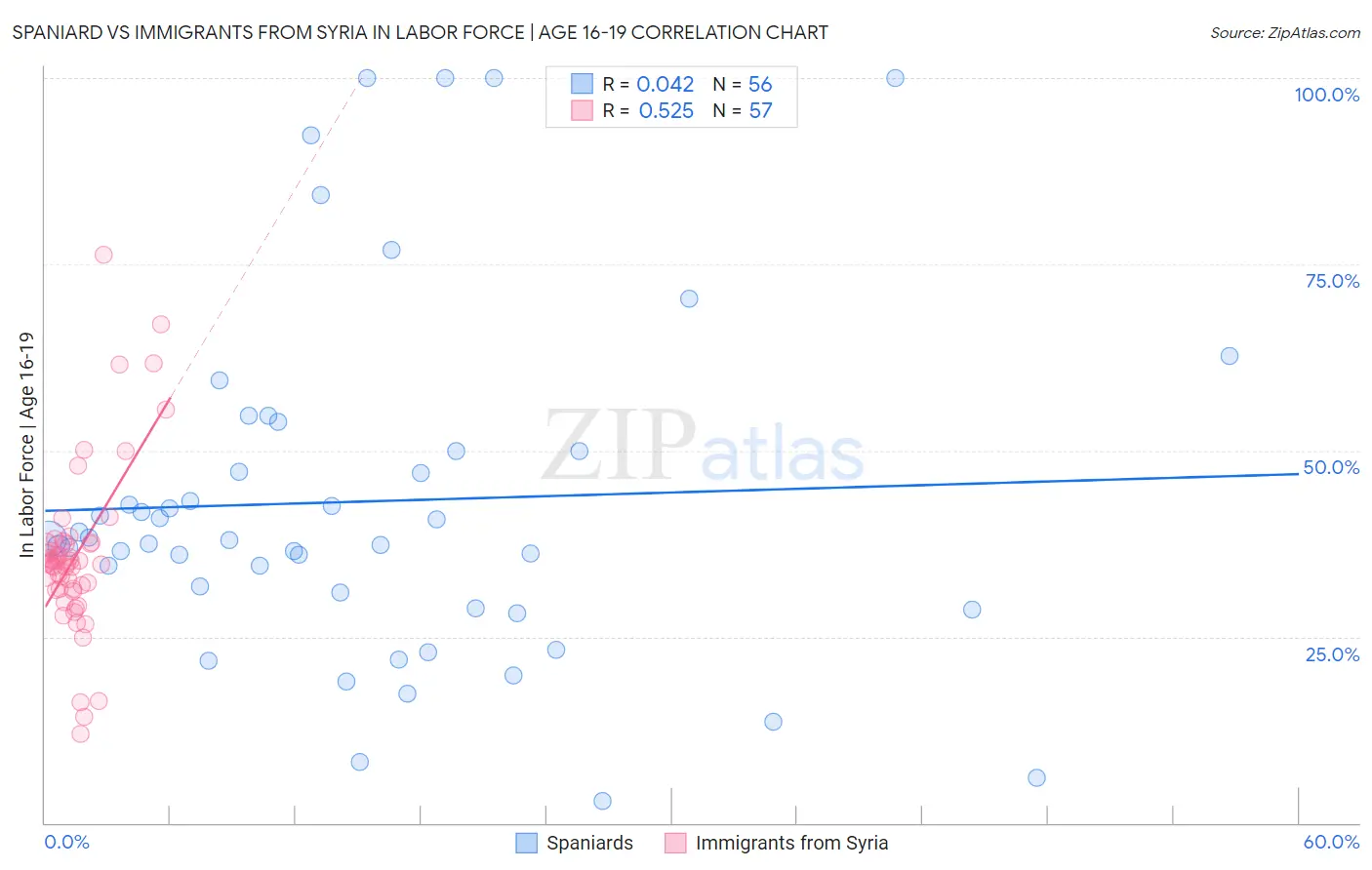 Spaniard vs Immigrants from Syria In Labor Force | Age 16-19
