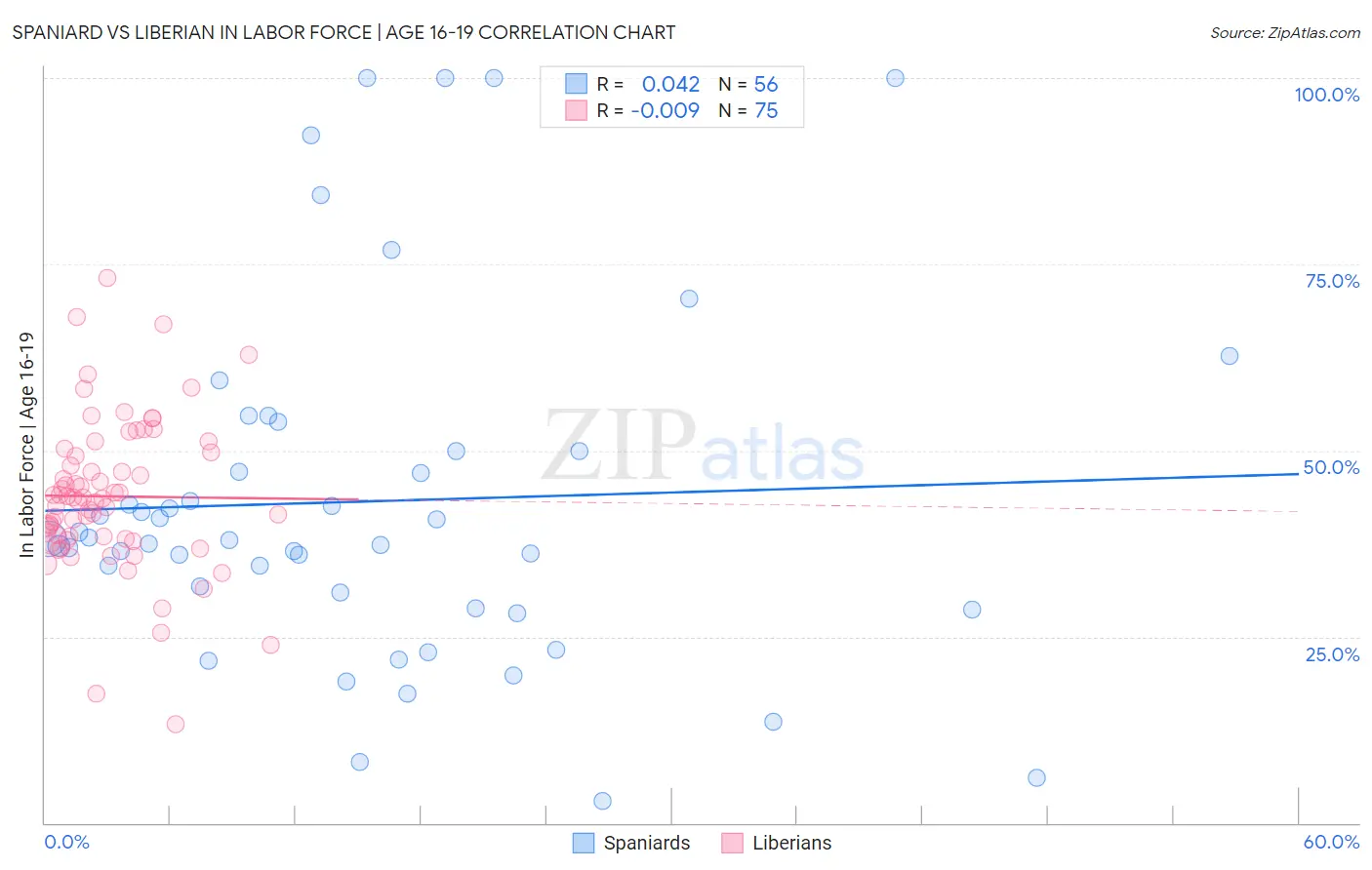 Spaniard vs Liberian In Labor Force | Age 16-19