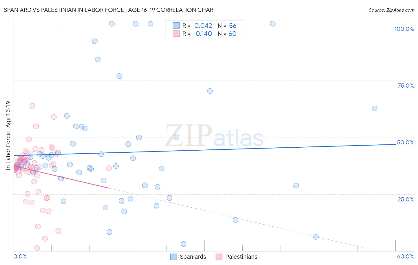 Spaniard vs Palestinian In Labor Force | Age 16-19