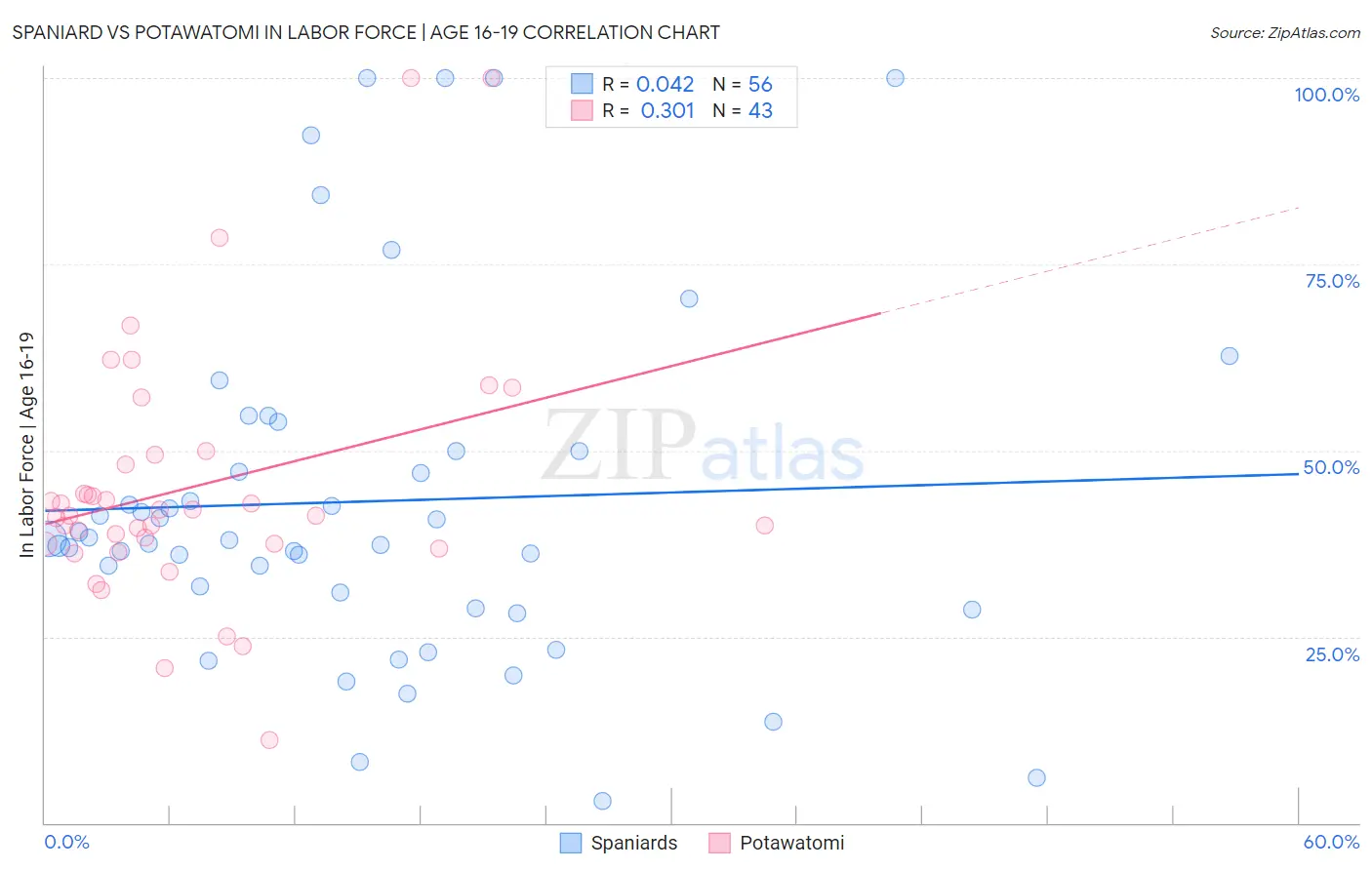 Spaniard vs Potawatomi In Labor Force | Age 16-19