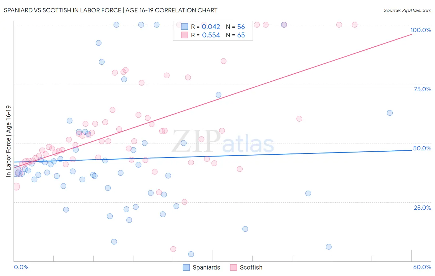 Spaniard vs Scottish In Labor Force | Age 16-19