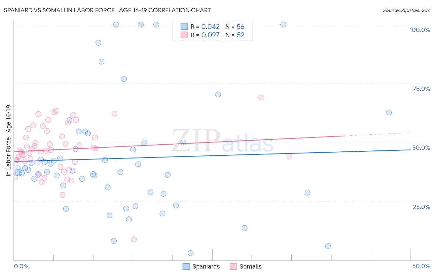 Spaniard vs Somali In Labor Force | Age 16-19