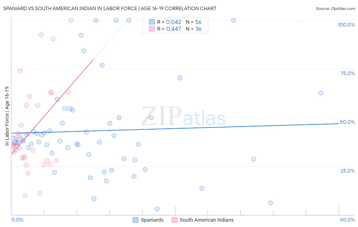 Spaniard vs South American Indian In Labor Force | Age 16-19