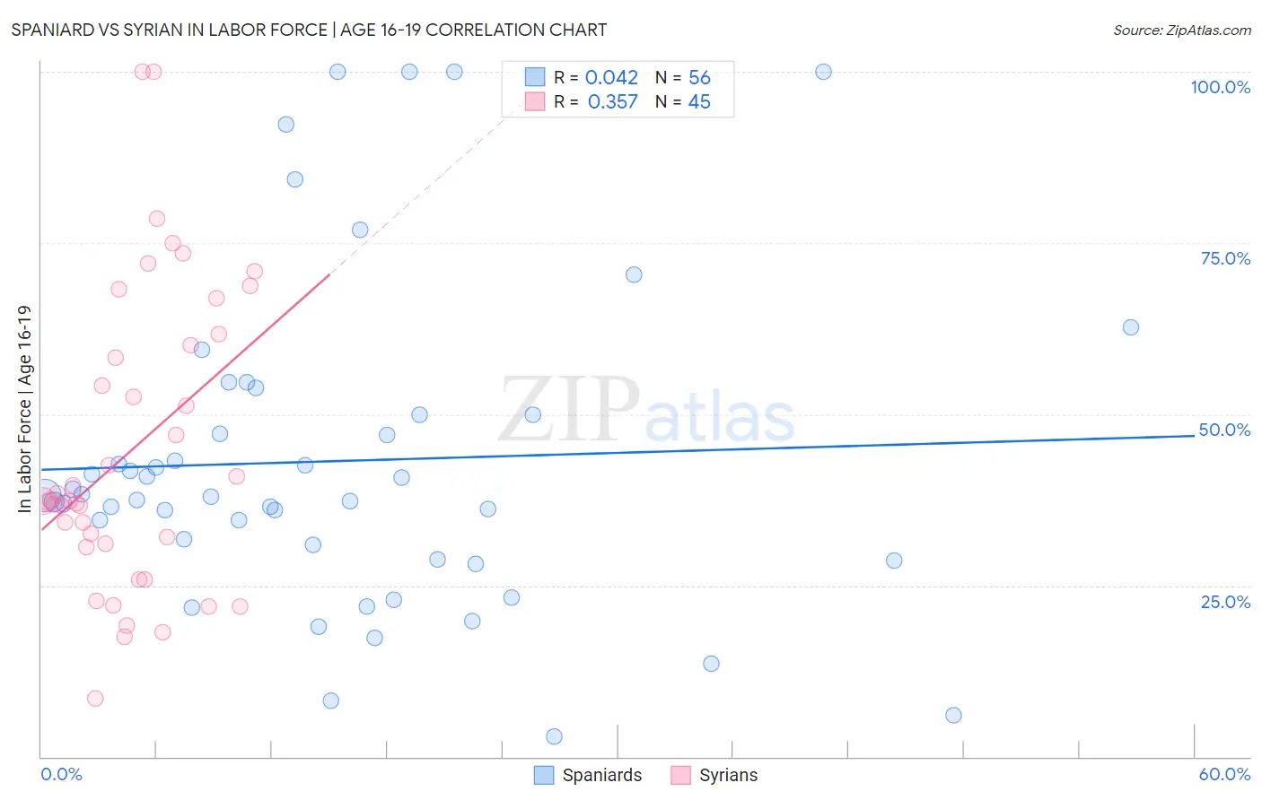 Spaniard vs Syrian In Labor Force | Age 16-19