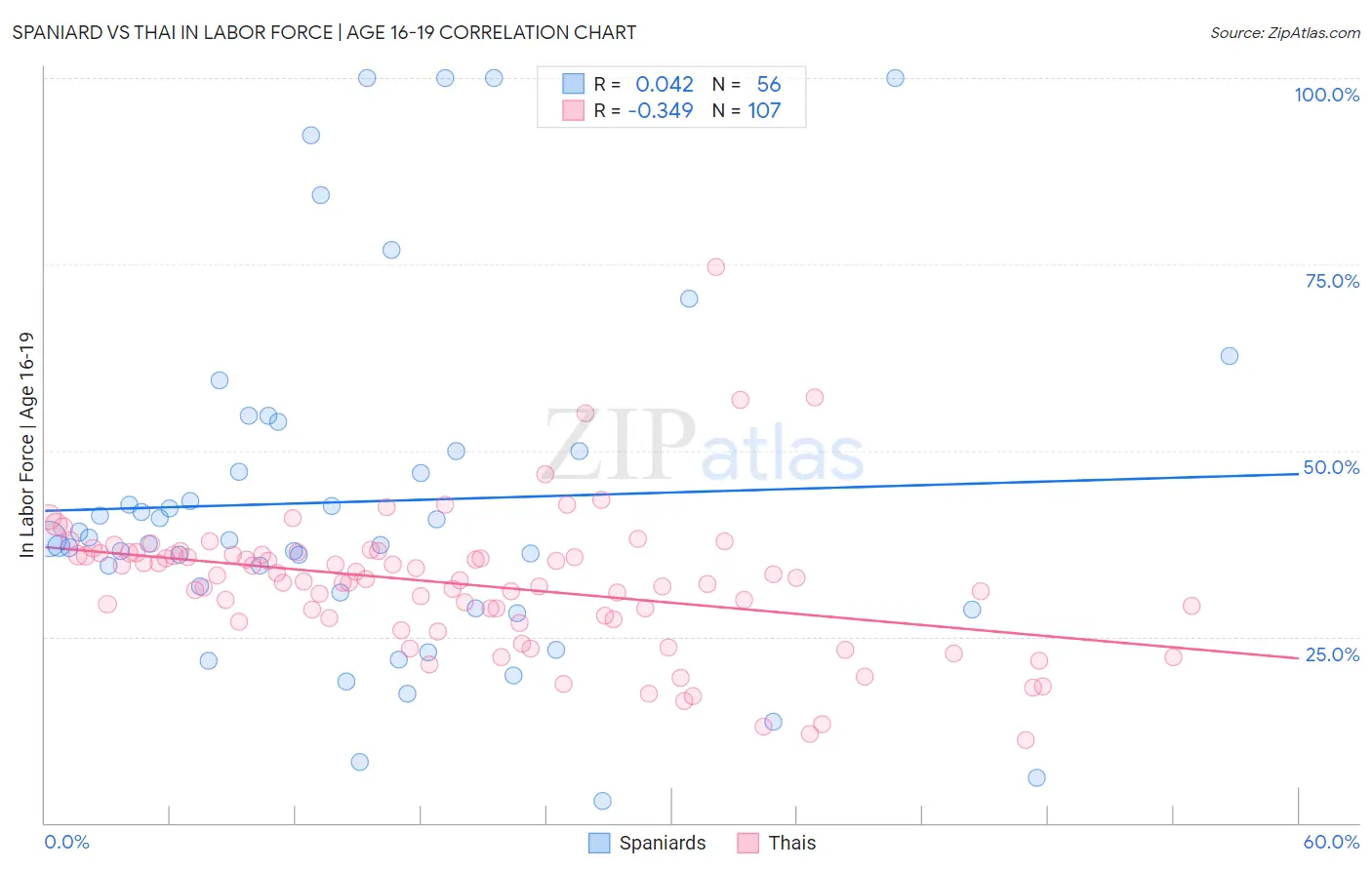 Spaniard vs Thai In Labor Force | Age 16-19