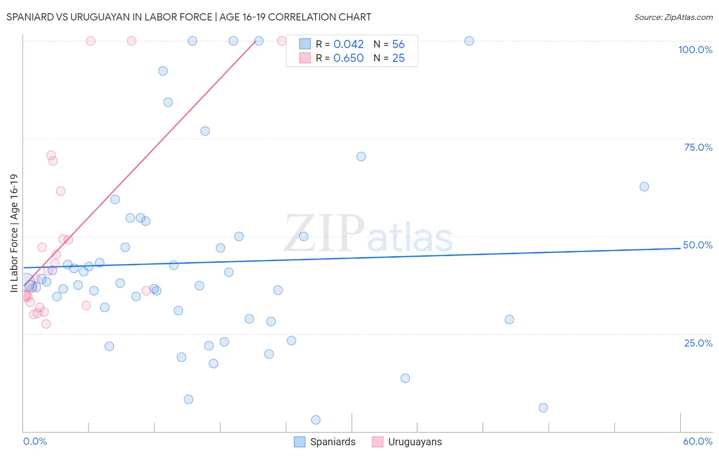 Spaniard vs Uruguayan In Labor Force | Age 16-19