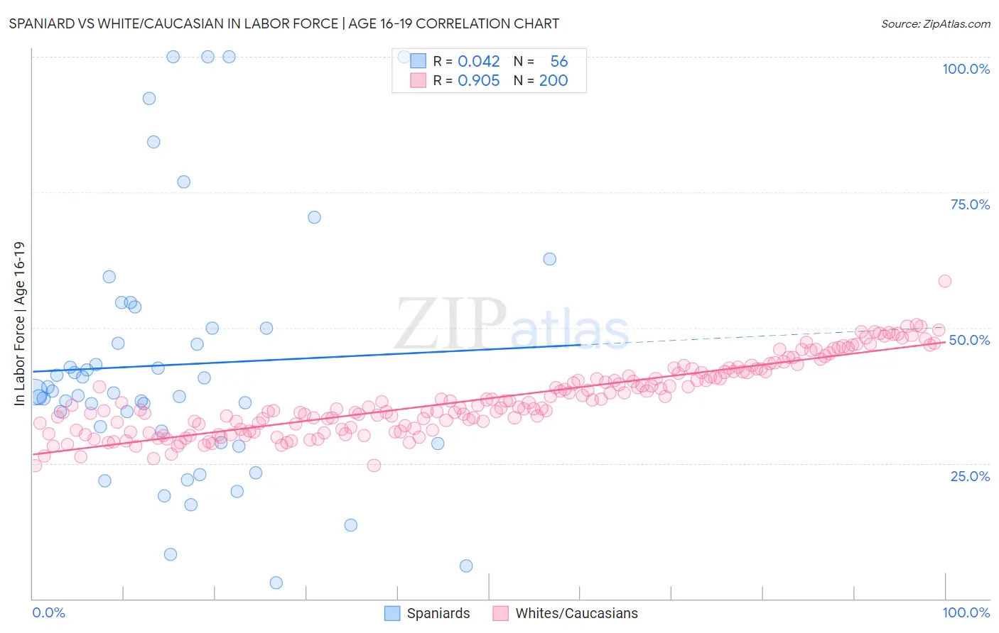 Spaniard vs White/Caucasian In Labor Force | Age 16-19