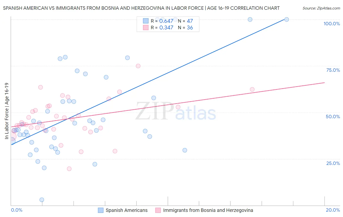 Spanish American vs Immigrants from Bosnia and Herzegovina In Labor Force | Age 16-19