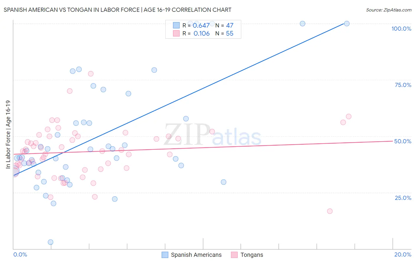 Spanish American vs Tongan In Labor Force | Age 16-19