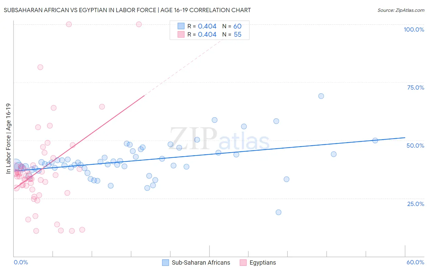Subsaharan African vs Egyptian In Labor Force | Age 16-19