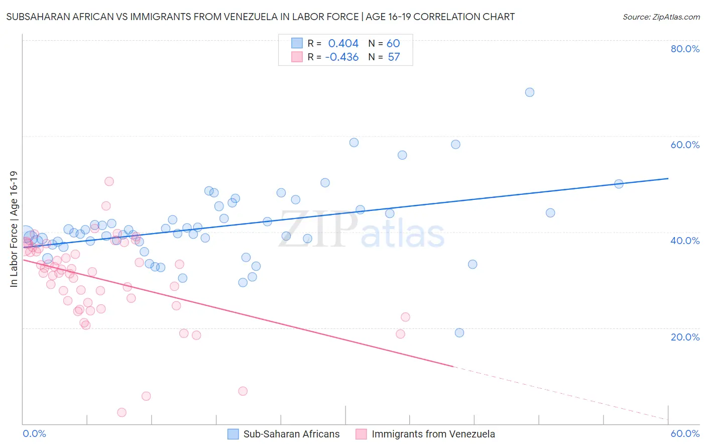 Subsaharan African vs Immigrants from Venezuela In Labor Force | Age 16-19