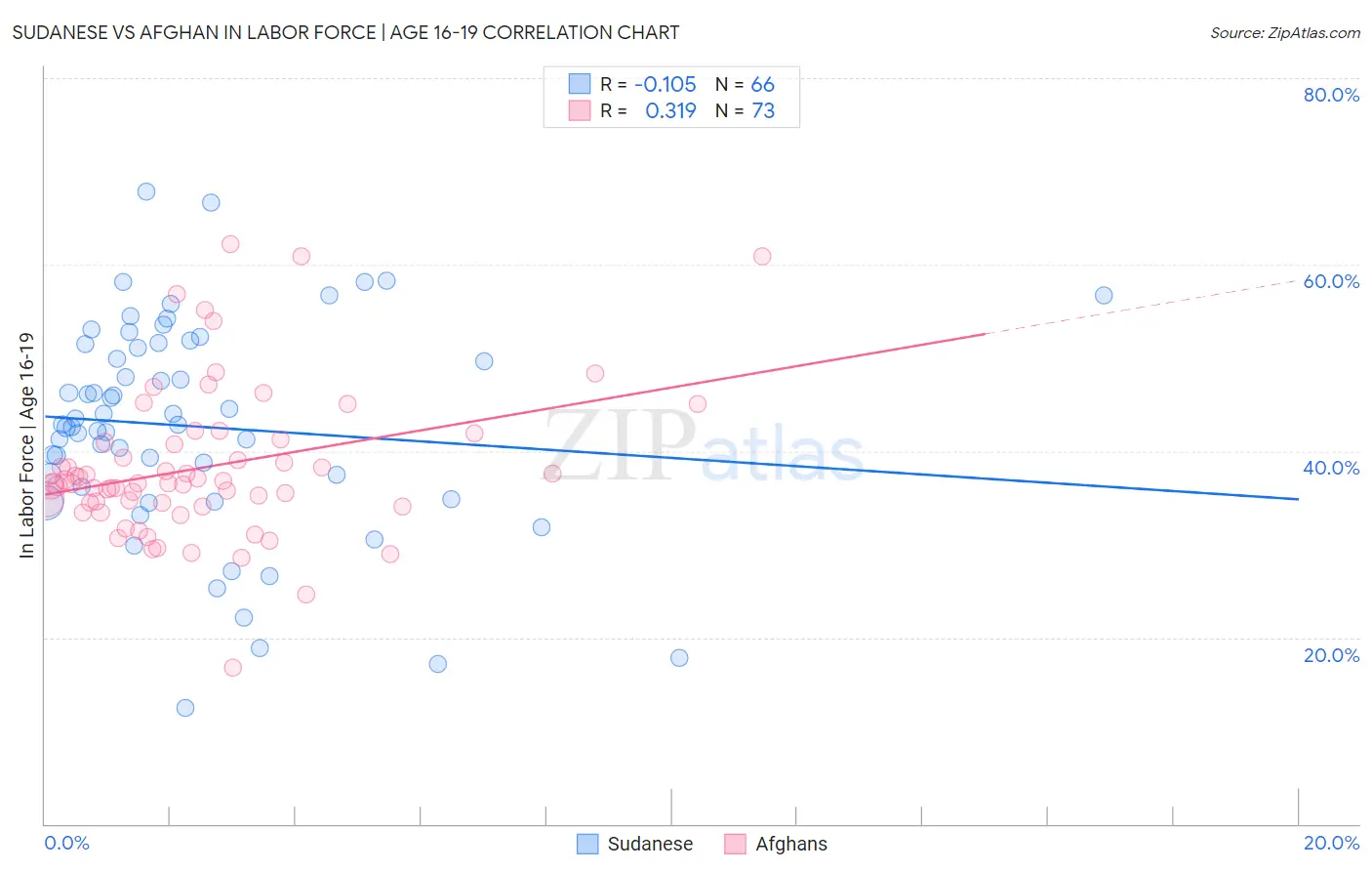 Sudanese vs Afghan In Labor Force | Age 16-19