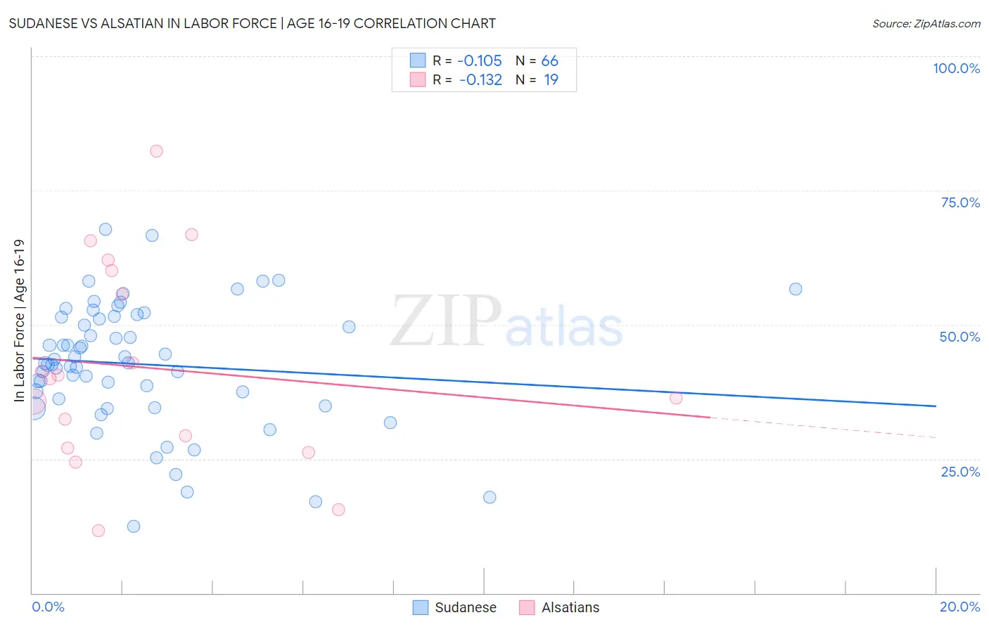 Sudanese vs Alsatian In Labor Force | Age 16-19