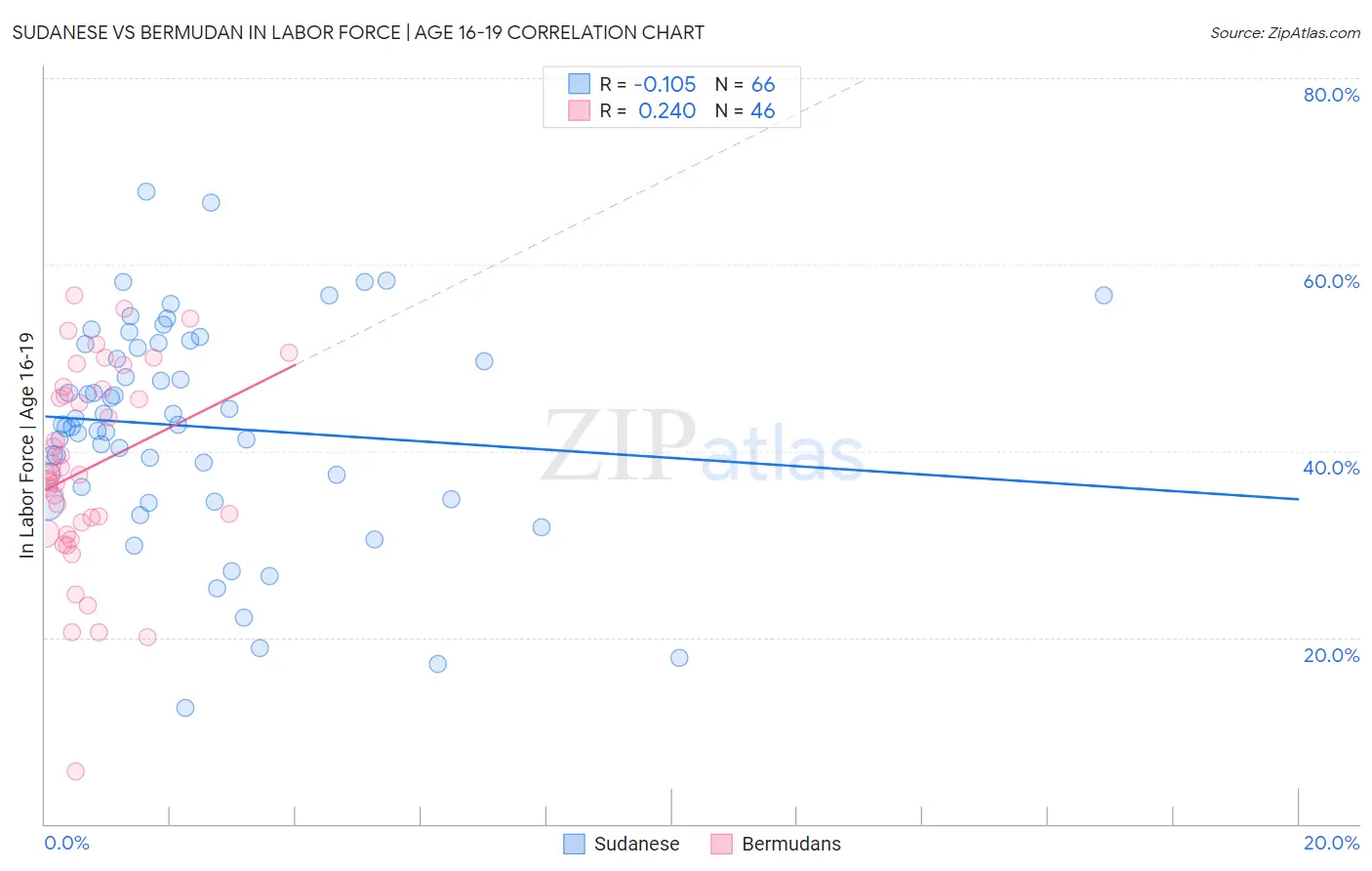 Sudanese vs Bermudan In Labor Force | Age 16-19