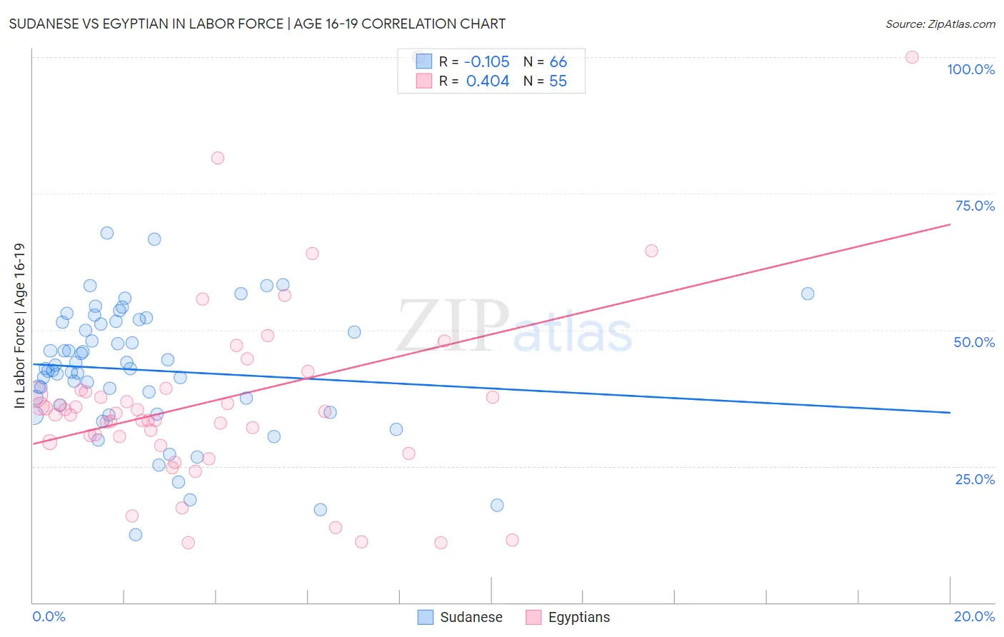 Sudanese vs Egyptian In Labor Force | Age 16-19