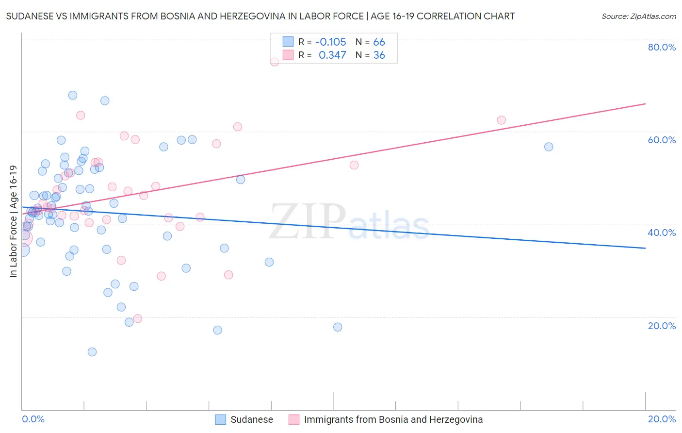 Sudanese vs Immigrants from Bosnia and Herzegovina In Labor Force | Age 16-19