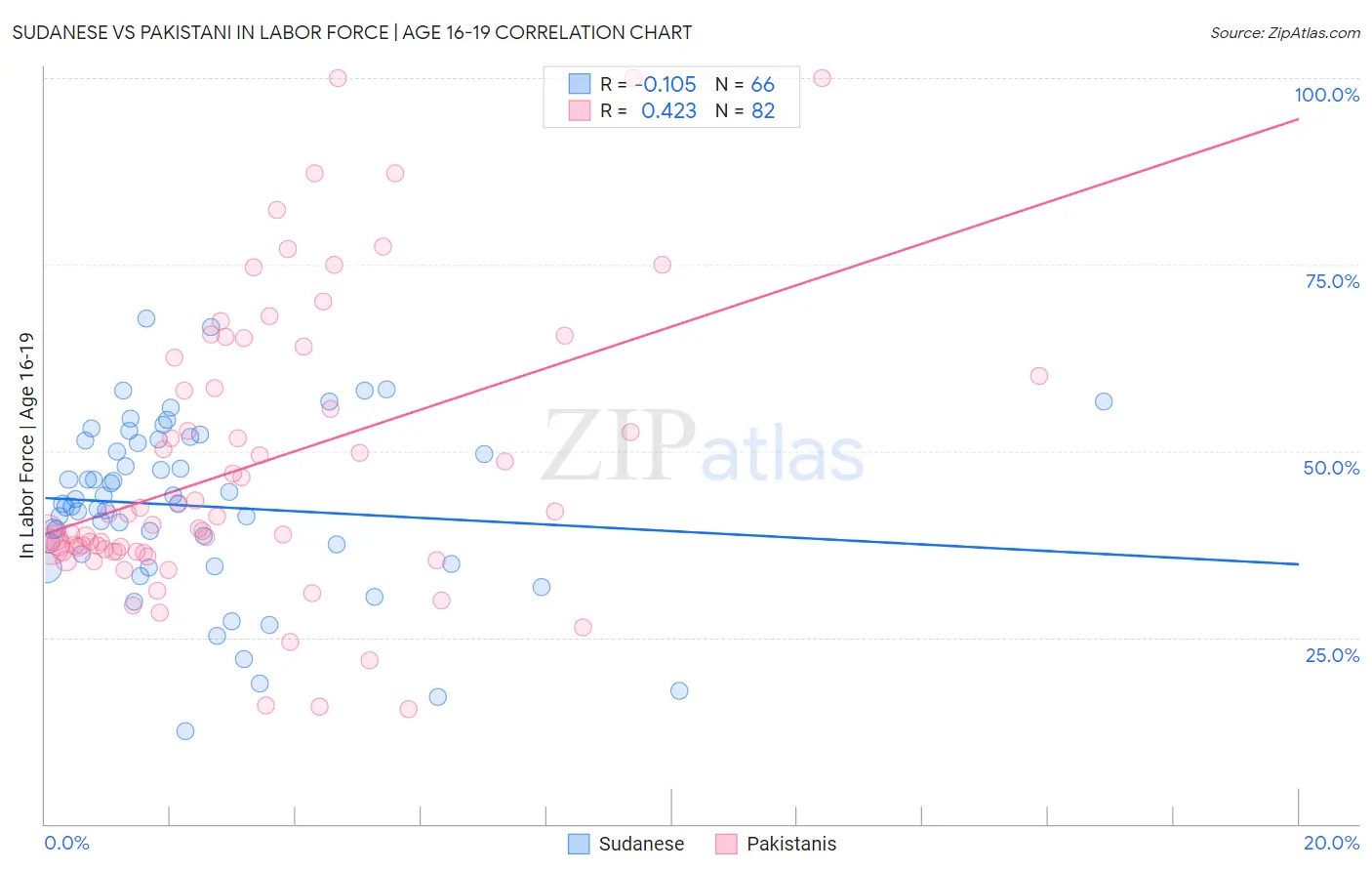 Sudanese vs Pakistani In Labor Force | Age 16-19