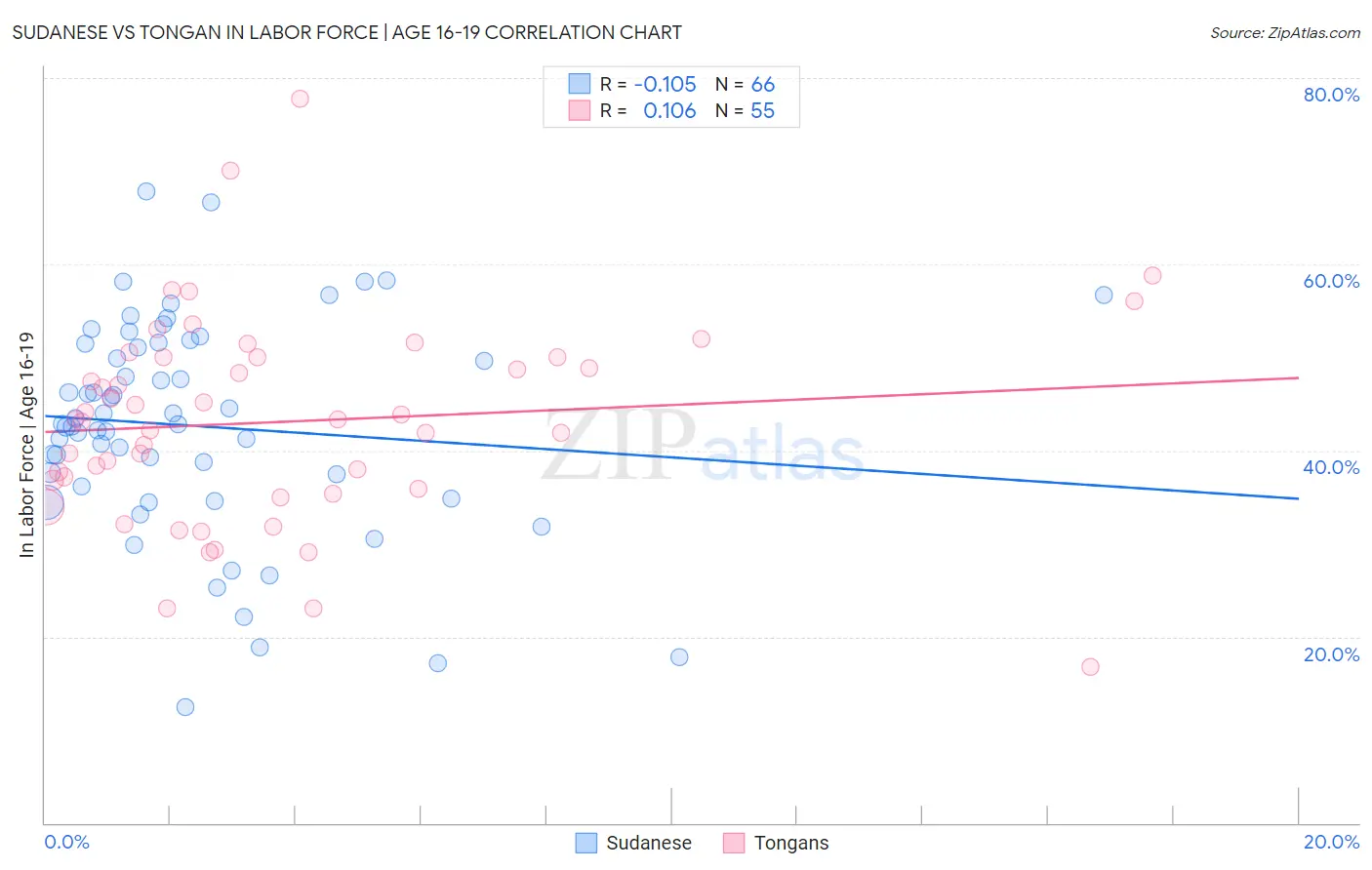 Sudanese vs Tongan In Labor Force | Age 16-19